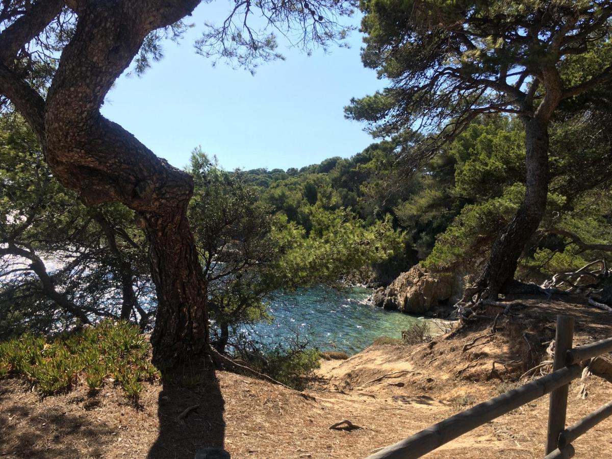 La Provence authentique à 30 minutes des plages Collobrières Extérieur photo